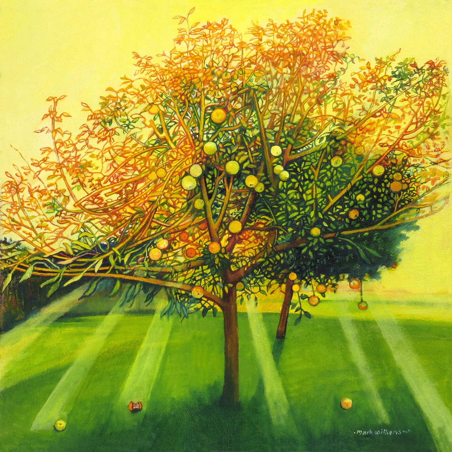 The Orchards of Avallaunius (Print)