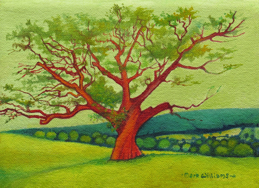 “The Forrester's Oak” - Poachers were hanged from the Forrester’s Oak in Wentwood Forest: The last man hanged for sheep stealing was a bloke from Penhow who was strung up there in 1840.