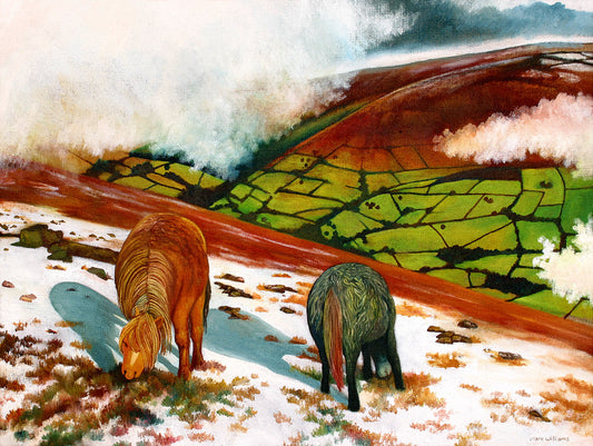 “Welsh Cobs” - A pair of Welsh Cob horses grazing on the “snow line” on Crug Hwyl.