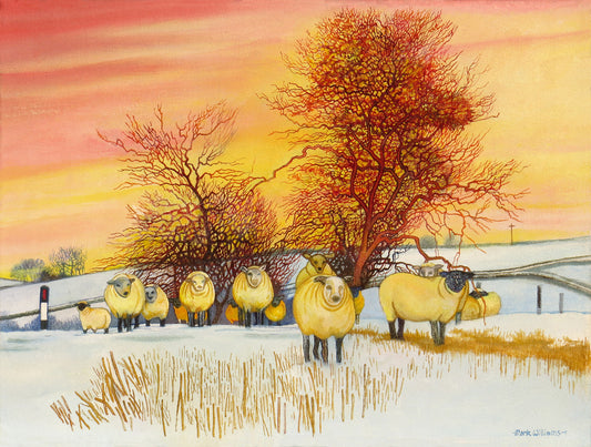“Winter Sheep” - I saw this flock of sheep in the snow one winter at Llanddewi Fach.