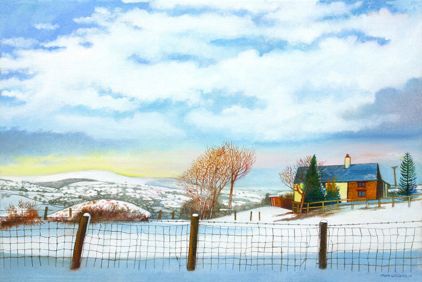 Common Cefn Llwyn (Print)