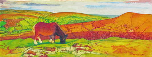 “The Welsh Cob” - A Welsh Cob is a horse that can still be seen living wild in the upland moorland regions.
